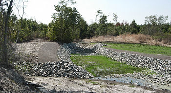 Mitigation site